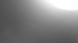 Фотоохота, конец лета/Photo hunt, the end of summer.