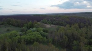 Тульская область. Чернский район. Урочище Красная Слободка. Апрель