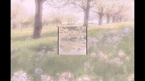 поздно выложила