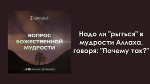 Надо ли "рыться" в мудрости Аллаха, говоря: "Почему так?" Абу Яхья Крымский