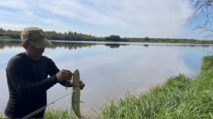 Обновил новый аппарат для ловли) успешно!