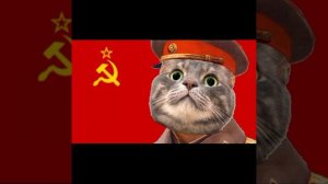 мы любим мы помним