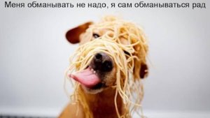 😇 ПРАКТИКИ ПРОСВЕТЛЕНИЯ. 😵＂Я сам обманываться рад...＂. Мини-семинар ПРАКТИЧЕСКОЙ Науки Образности💯