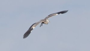 Кто в школу, а кто на пруд. Нижний Царицынский пруд, 1 сентября 2025