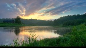 Лена Василек - Без хозяина изба