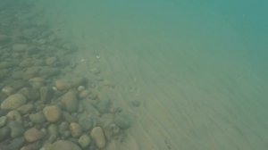 В море с головой