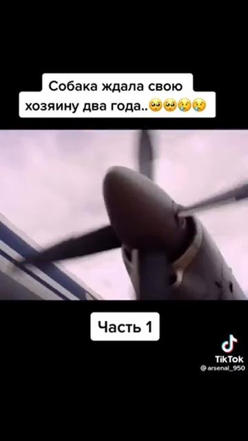 верность