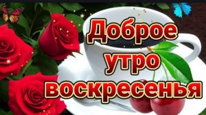 ДОБРОГО ВОСКРЕСНОГО УТРА !