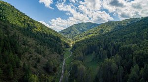 Памятник природы "Лог Арбанак", Алтайский район