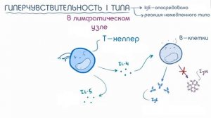 Гиперчувствительность аллергия 1 типа (немедленного типа)