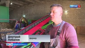 Фермеры Кировской области оценили урожайность картофеля в этом году