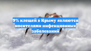 9% клещей в Крыму являются носителями инфекционных заболеваний