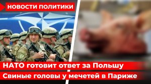 НАТО готовит военный ответ за Польшу. Исламофобия во Франции. Турция против Эрдогана.