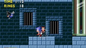 Maple Zone (GEN) Revisit