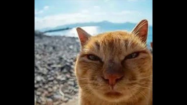 Разговоры с коллекторами 93 смотреть онлайн