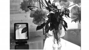 САГА о ЛЮБВИ