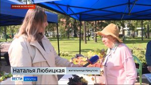 Большая продовольственная ярмарка проходит в сквере имени Кирова в Иркутске