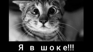 После ТАКОГО! НЕ уснуть!))"Люсь, ты не спишь?" Сола Монова /исп. СИма & юЛЯ /