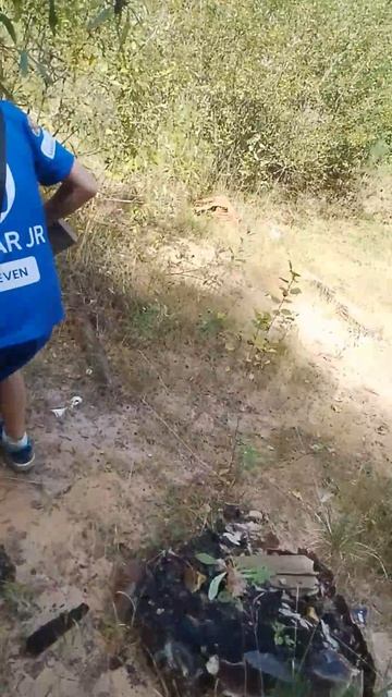 нашли череп коровы когда котались с друзьями на квадриуе 😯 смотреть онлайн