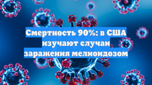 Смертность 90%: в США изучают случаи заражения мелиоидозом