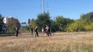 1 Оч/хор ФРЕШ СТАЙЛЕ ЖЕРМИНАЛЬ РОМАН ШОУ +0+ №9. ЭНГЕЛЬС 30 августа`25 Моно немецких овчарок