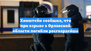 Хинштейн сообщил, что при взрыве в Орловской области погибли росгвардейцы