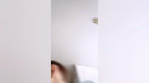 игрушки которые снимались в сериале милый котик. Настольгия