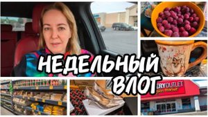 НИКОМУ НИ СЛОВА! ТССС.. / ПОИСКИ РАБОТЫ ТЩЕТНЫ? / ЗА ПРОДУКТАМИ В АМЕРИКАНСКИЙ МАГАЗИН