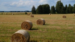 РИХАРД ШТРАУС НА МАРИЙСКОЙ ЗЕМЛЕ.. (Фото Измаила ЕФИМОВА (Йошкар-Ола), музыка Рихарда ШТРАУСА (1864