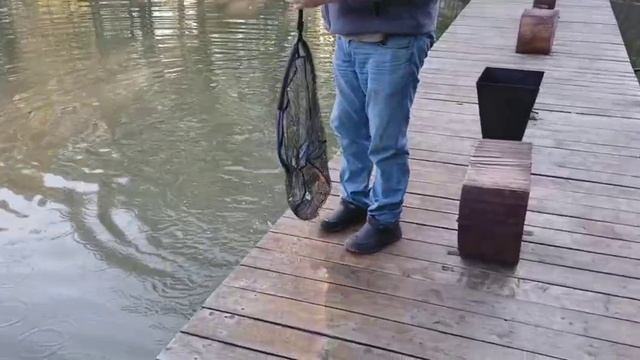 -8774405206893155702