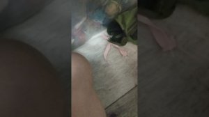 VID_20250913_232639.mp4