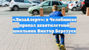 «ЛизаАлерт»: в Челябинске пропал девятилетний школьник Виктор Березуев