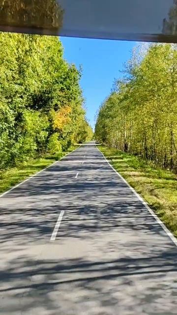 Осень  краса пришла