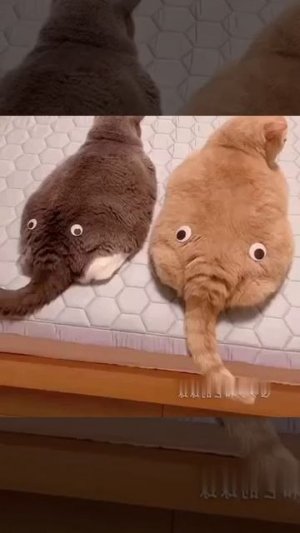 Дружелюбные слоники!