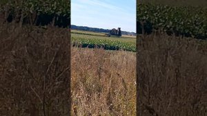 дневная уборка сахарной свеклы