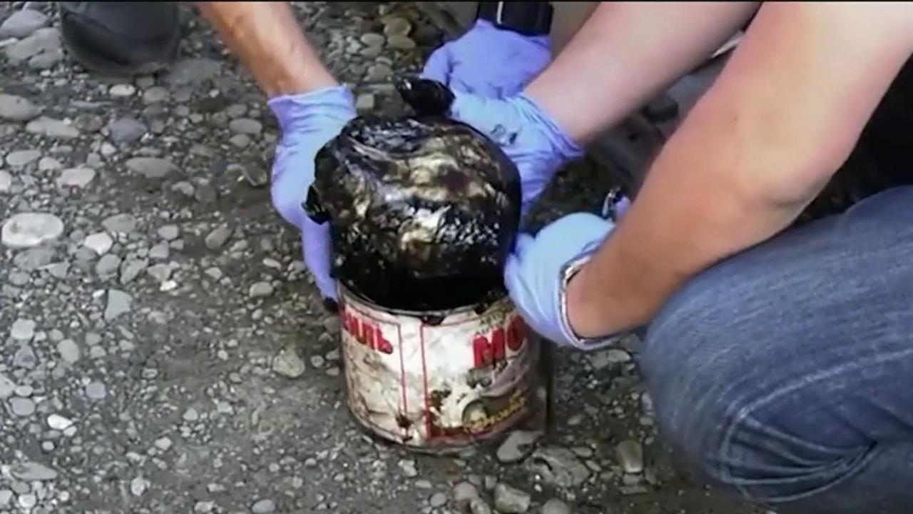 В Грузию с территории Украины попали почти 2,5 килограмма гексогена