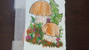 Рисунок акварелью / Грибы