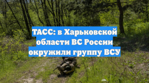 ТАСС: в Харьковской области ВС России окружили группу ВСУ