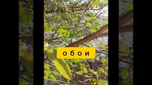 телефон в стиле басиков