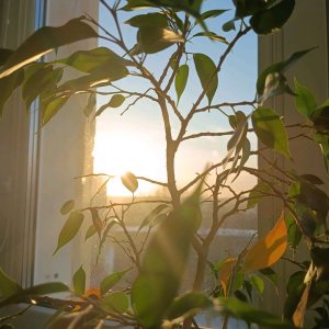 эстетикаааааааааааа