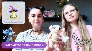 Коллекционная карточка №12: Знакомство Гарри с Добби