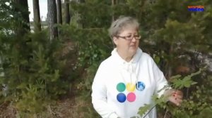 Любовь Костоглотова "Рябинка"