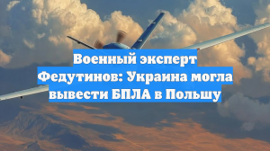 Военный эксперт Федутинов: Украина могла вывести БПЛА в Польшу