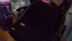 СРОЧНЫЕ НОВОСТИ О КОШКЕ