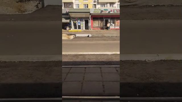 Поездки в общественном транспорте | 13-сен-2025, 3