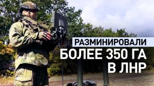 «Подготавливаемся к мирной жизни»: сапёры о разминировании территории ЛНР