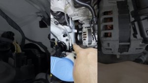 Skoda Rapid 528
