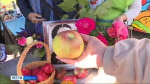 «Праздник урожая». Продовольственная ярмарка прошла в сквере Кирова в Иркутске