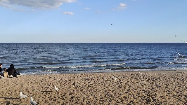 чайки Мариуполь смотреть онлайн