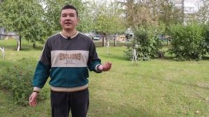 Аллея памяти